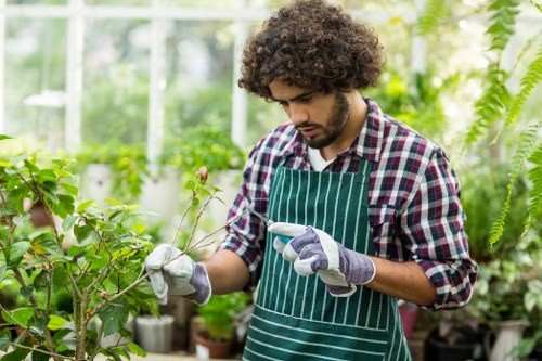 Tree felling work on a residential property in Hackbridge