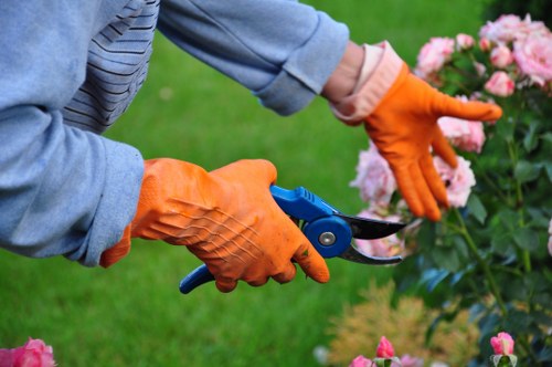 Tree surgery team handling pruning and site waste responsibly