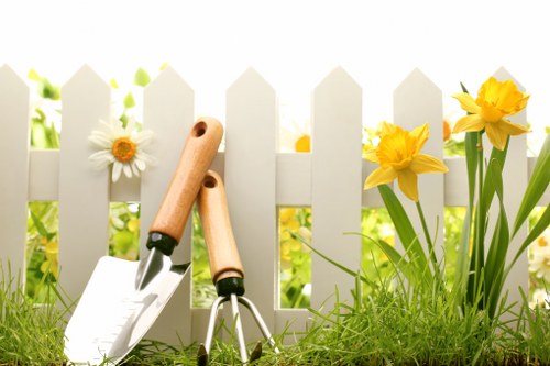 Professional hedge cutting for a residential garden in Hackbridge