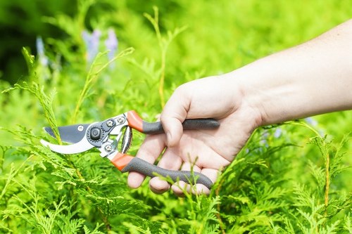 Tree surgery team handling waste and load-based pricing for a garden job