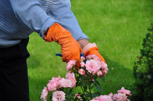 Responsible tree surgeons in Hackbridge planning safe tree work